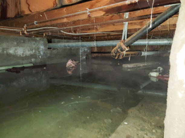 Best Water damage restoration services  in West Ack, NY