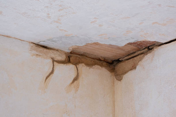 Best Water damage restoration process  in West Ack, NY