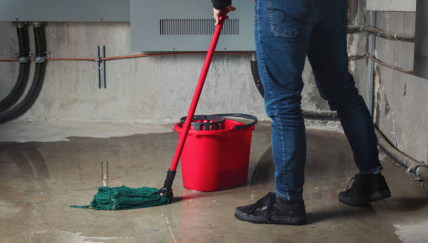 Best Flooded house restoration  in West Ack, NY