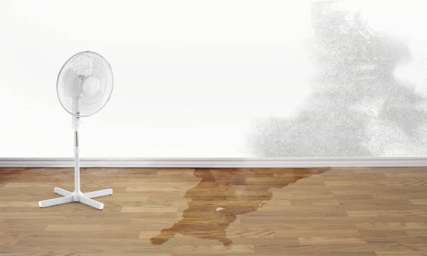 Best Flood restoration services  in West Ack, NY