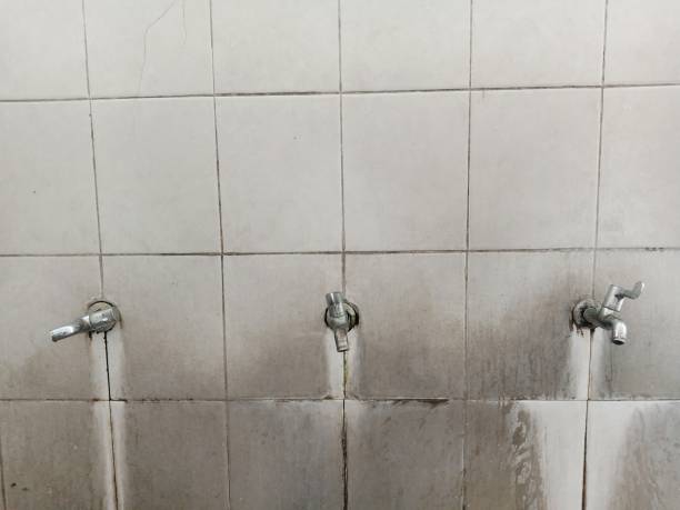 Best Carpet water damage restoration  in West Ack, NY