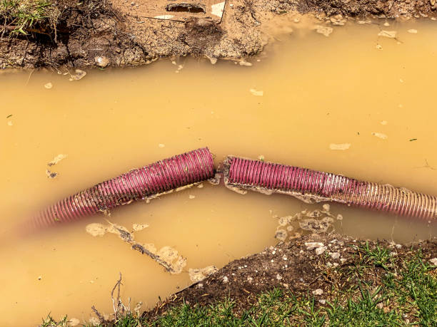 Best Sewage cleanup and water damage restoration  in West Ack, NY