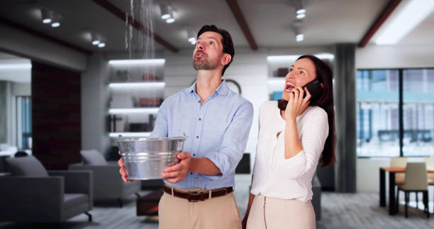 Best Mold removal after water damage  in West Ack, NY