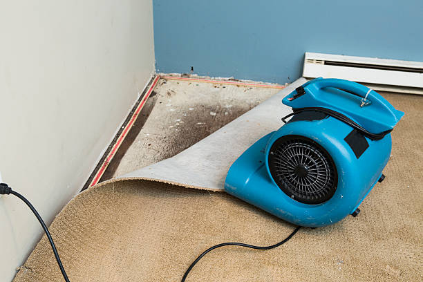 Best Flood damage cleanup  in West Ack, NY